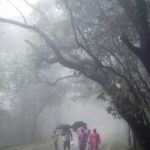 एल नीनो के बीच राहत की उम्मीद, पॉजिटिव IOD से सुधरेगा मानसून