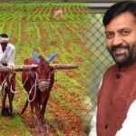 हरियाणा में किसानों को बड़ी राहत, 10 लाख एकड़ भूमि सुधारने के लिए 25 हजार टन जिप्सम खरीदेगी सरकार
