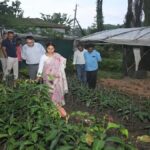 हजारीबाग का डेमोटांड फार्म बनेगा एग्रो टूरिज्म केंद्र, किसानों को मिलेगा प्रशिक्षण