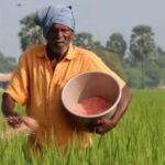बिहार में खाद बिक्री व्यवस्था होगी डिजिटल, Farmer ID से होगी उर्वरक की खरीदारी