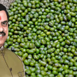 MP MSP Mung Procurement: मध्य प्रदेश में मूंग खरीदी का नया प्लान लागू, किसानों को मिलेगा बड़ा फायदा