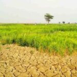 राजस्थान में बढ़ेगी गर्मी की मार, बदलते मौसम से सूखा और बारिश का खतरा बढ़ेगा