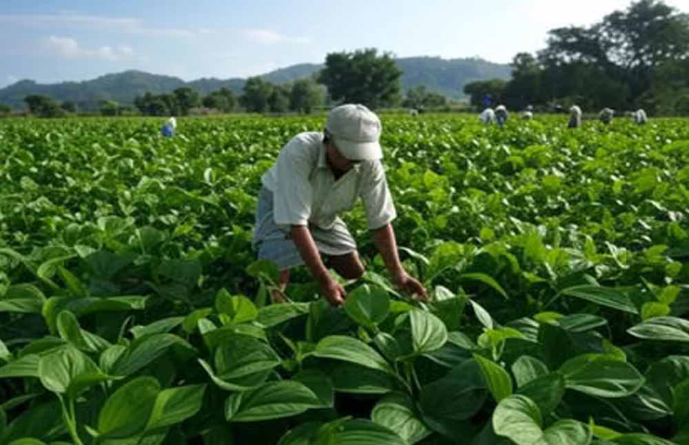 Chhattisgarh_News_02-3-1.jpg