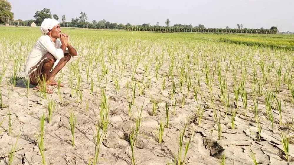 Chhattisgarh_News_05-2-5.jpg