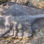 CG के खैरागढ़ में 230 साल पुरानी लिथोग्राफी कला आज भी जीवित, जर्मनी के पत्थरों पर सीख रहे छात्र