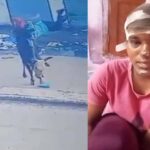 अंबाला में सांड का कहर! स्कूली छात्रा को 7 फीट तक उठाकर पटका, माथे पर लगे 8 टांके
