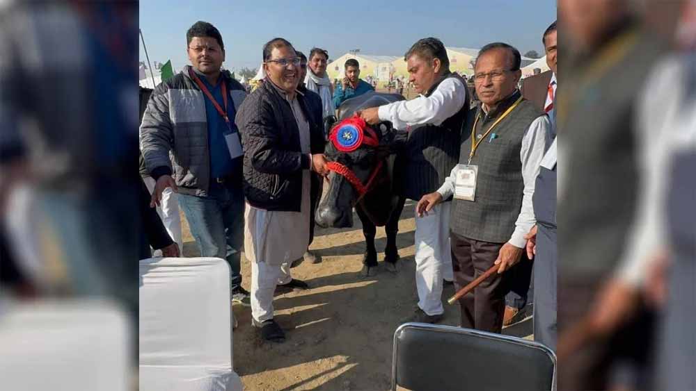 Hariyana_News_05-2-10.jpg