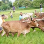 अपनी माटी और खेती-किसानी से मुख्यमंत्री श्री विष्णु देव साय का आत्मीय जुड़ाव