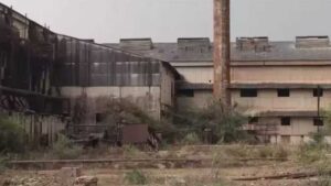 Kelaras_01-1.jpg