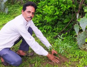 Neem.jpg