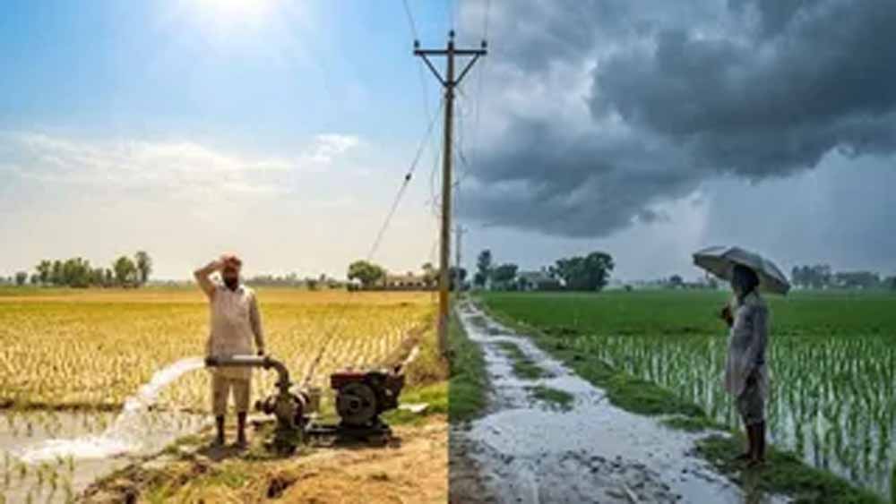 Punjab_News_03-2-4.jpg