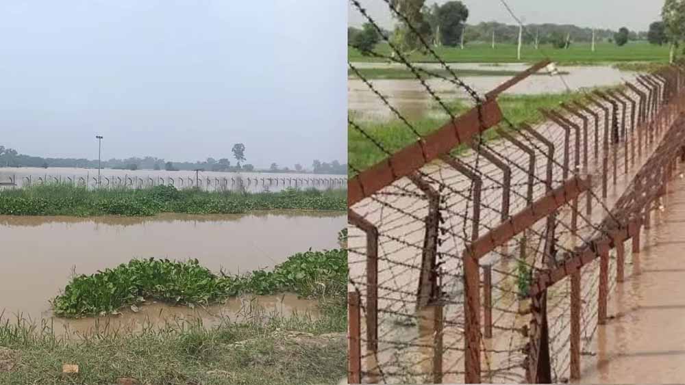Punjab_News_06-2-15.jpg