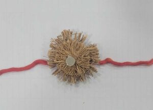 Rakhi_02.jpg