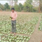 तेन्दूपत्ता संग्रहण की नई पहल से अबुझमाड़ के 22 गांवों को मिला लाभ