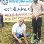विश्व प्रकृति संरक्षण दिवस पर एमपी ट्रांसको के सब-स्टेशन में हुआ सामूहिक पौध-रोपण