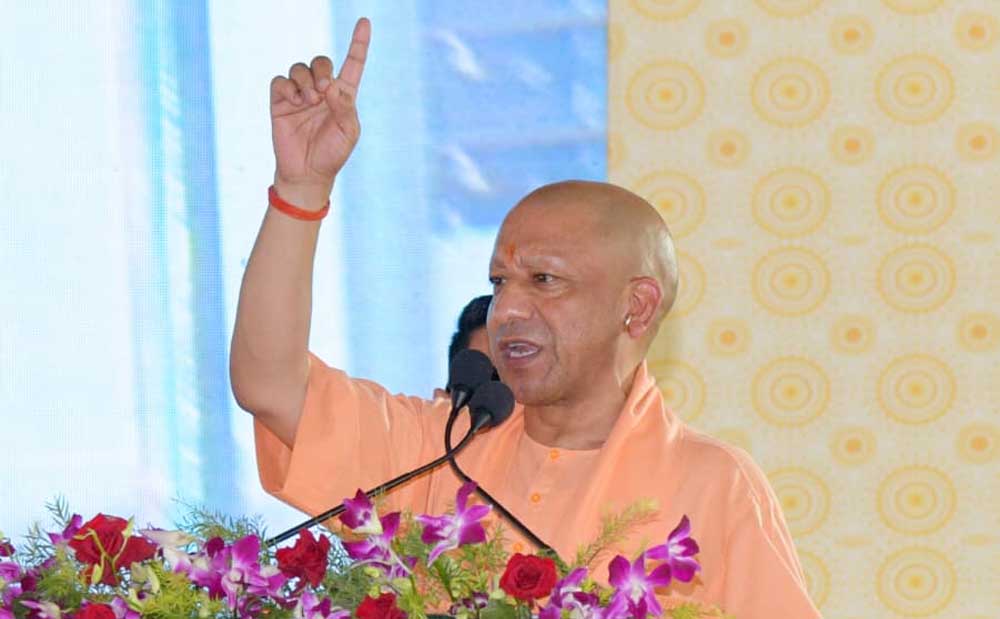 Yogi_01-28.jpg