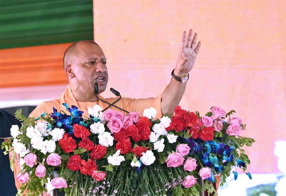 Yogi_03-6.jpg