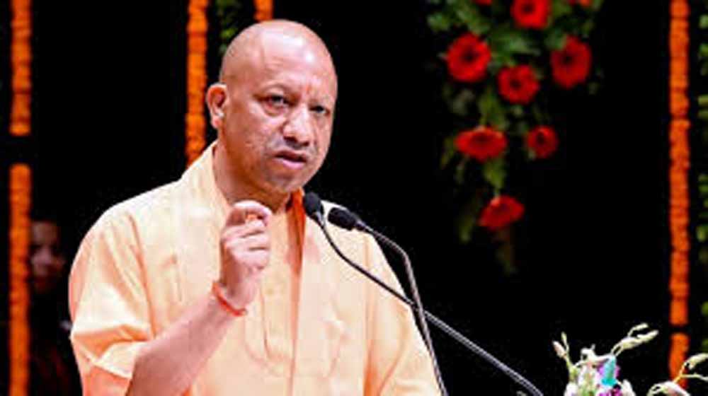 Yogi_04-3.jpg