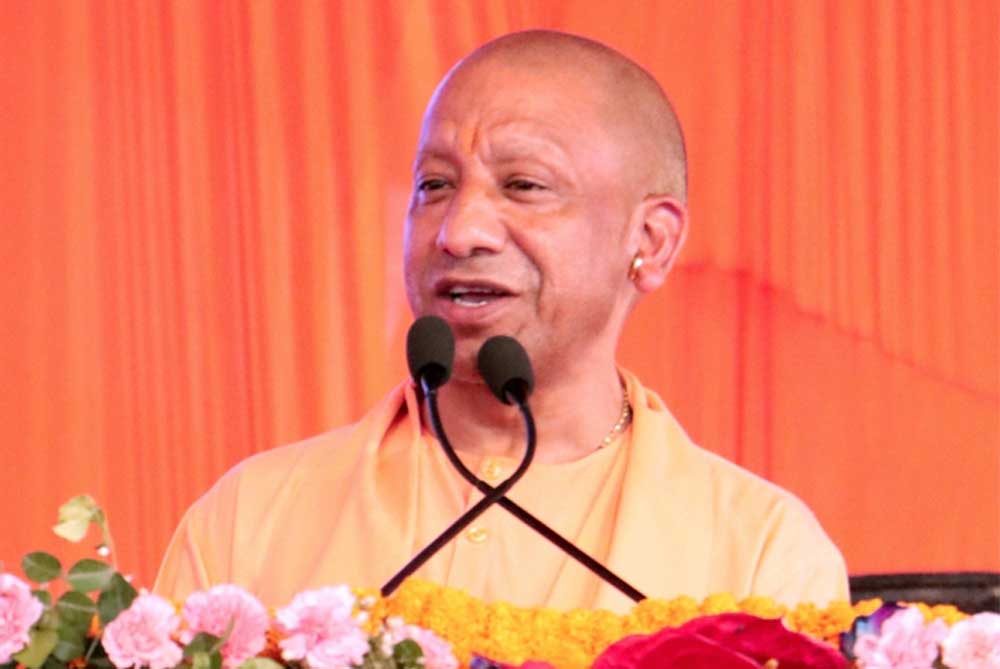 Yogi_07-8.jpg