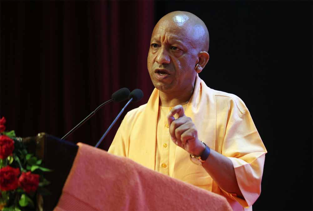 Yogi_jpg_03.jpg