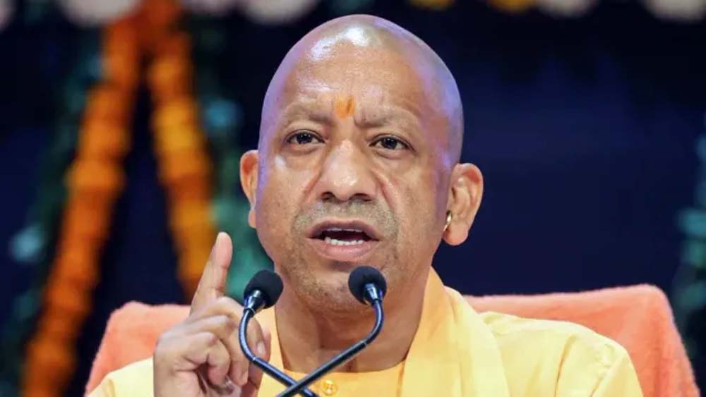 cm_yogi_13-3.jpg