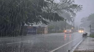 rain_116_2-2.jpg