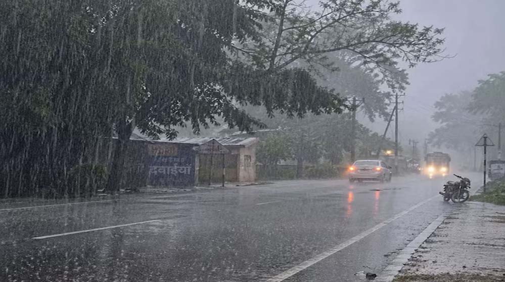 rain_116_2-2.jpg