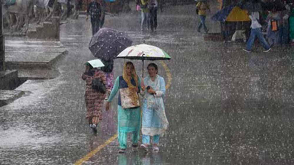 rain_3-3.jpg