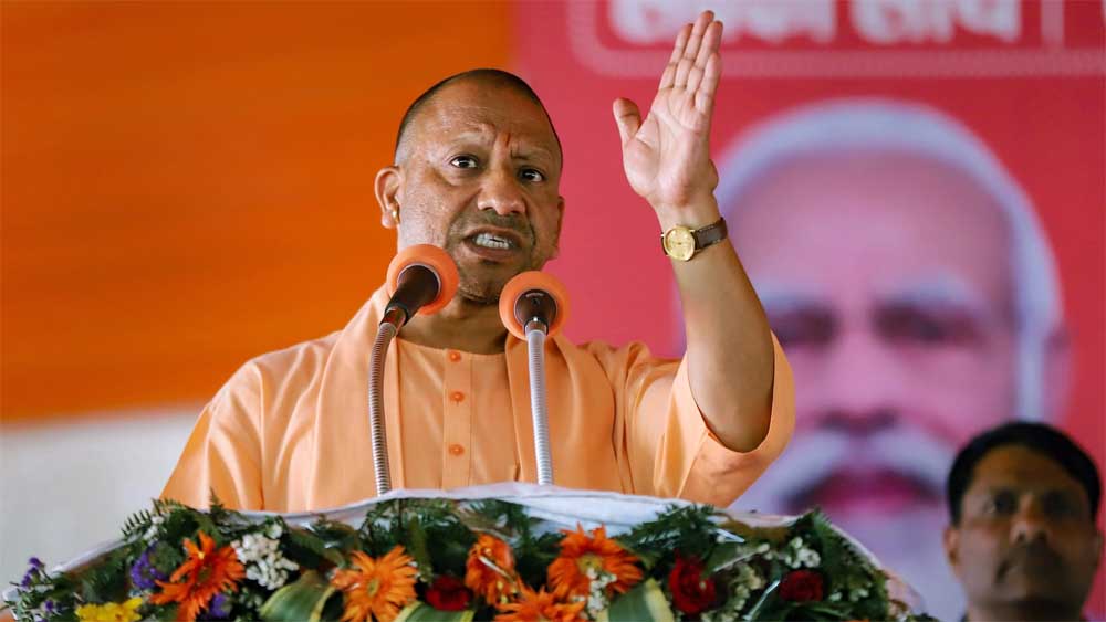 yOGI-1.jpg