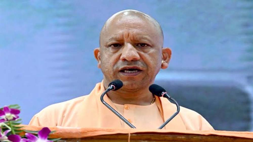 yogi1.jpg