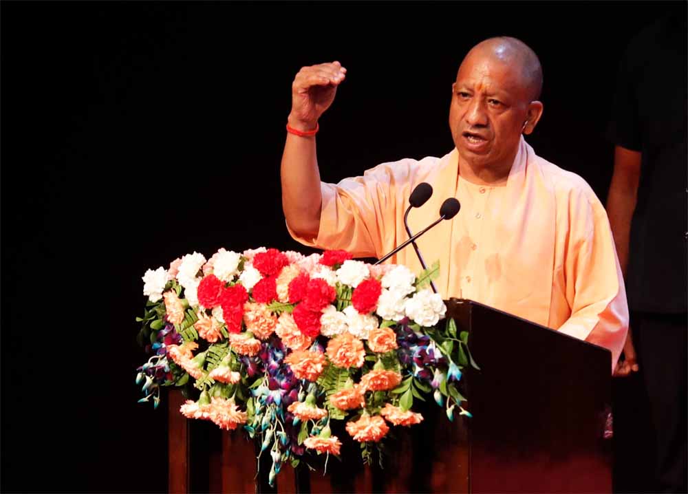 yogi_010.jpg