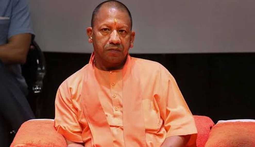 yogi_02-18.jpg