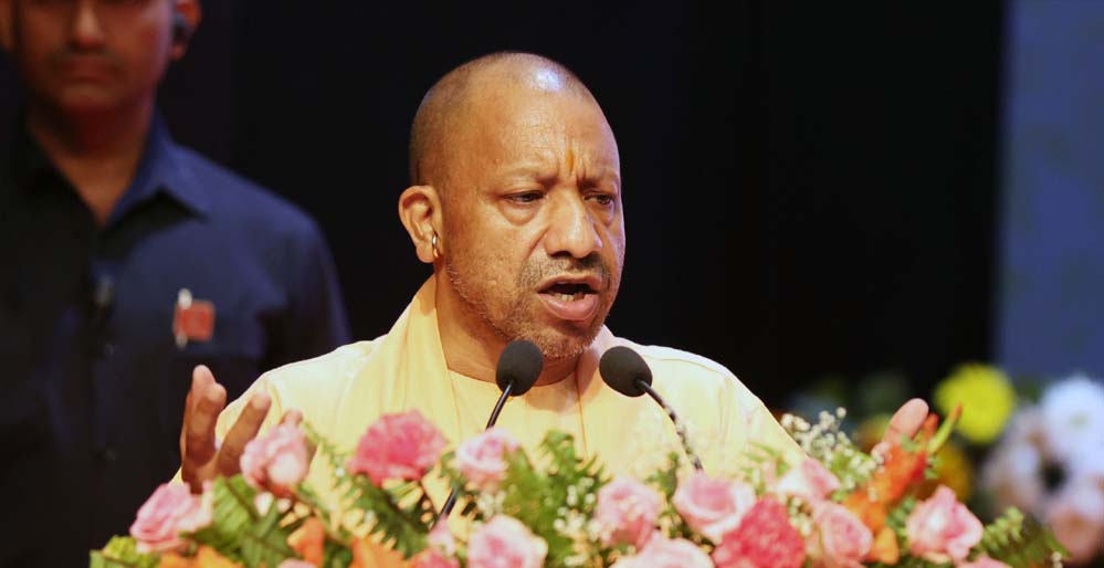 yogi_0_2_2.jpg