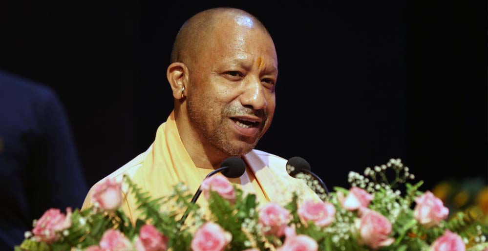 yogi_0_2_3.jpg