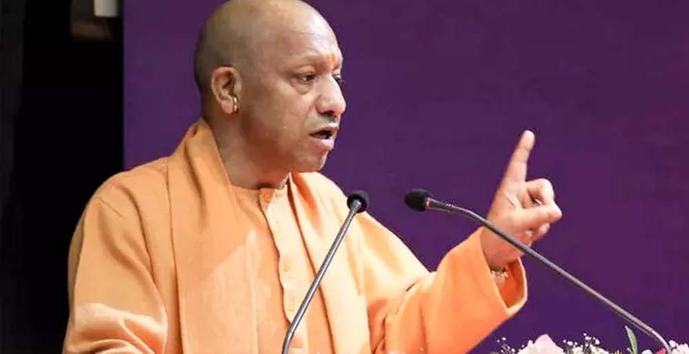 yogi_2_27_1.jpg