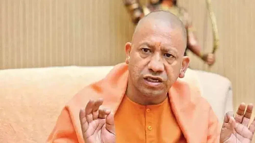 yogi_98-1.jpg
