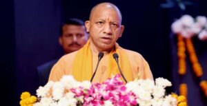 yogi_A_14_2-2.jpg