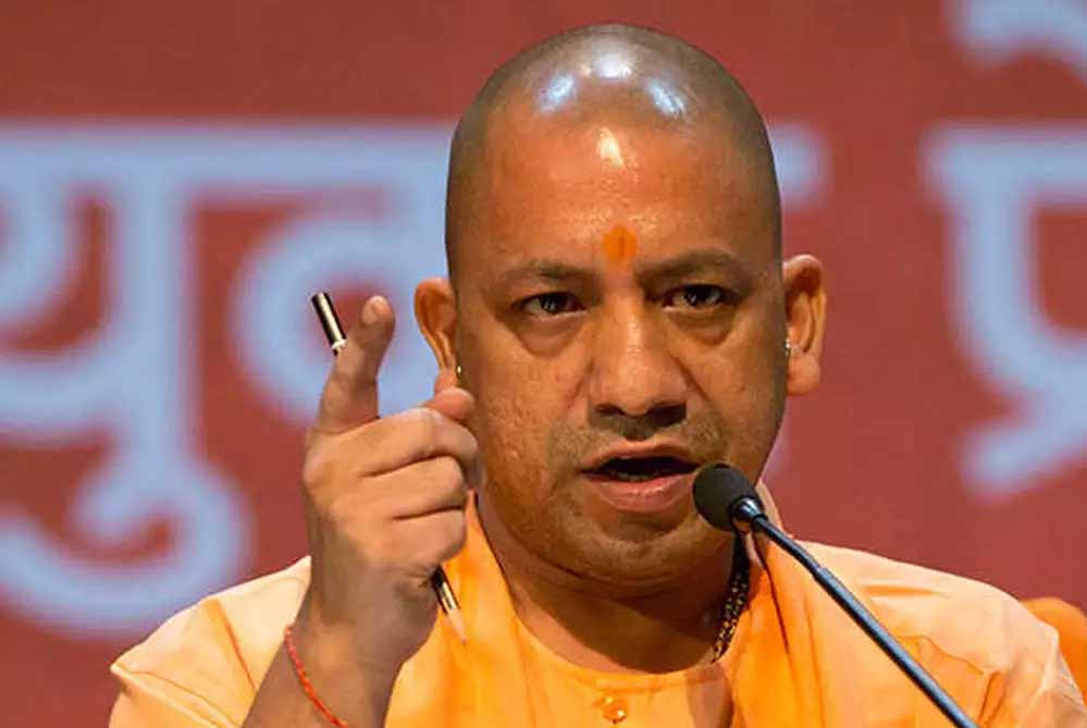 yogi_cm_132_3.jpg