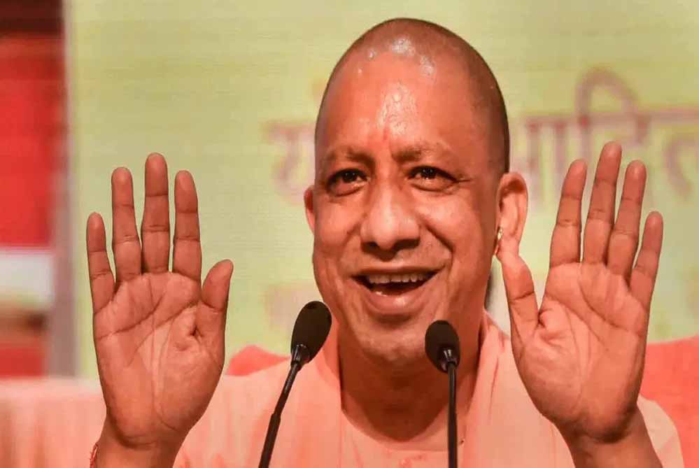 yogi_cm_132_5.jpg