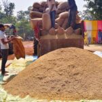 हरियाणा में धान खरीद शुरू, MSP ₹2461; कई मंडियों में नमी और पोर्टल बना बाधा