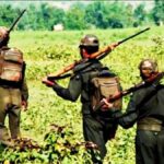 दो दशक बाद झारखंड में माओवादी संगठनों की कमर टूटी, जंगलों में लौटी शांति
