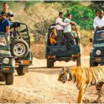 झारखंड में 1 अक्टूबर से जंगल सफारी शुरू, ऑनलाइन बुकिंग भी चालू