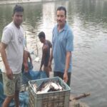 0.40 हेक्टेयर में गुलाब पटेल ने लिखा मछली पालन से समृद्धि का नया अध्याय