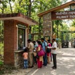 पीलीभीत टाइगर रिजर्व में घूमना हुआ महंगा, शनिवार-रविवार टिकट 150 से बढ़कर 200 रुपये