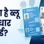 नीला और सफेद आधार कार्ड में क्या है अंतर? जानें बाल आधार के नियम और बायोमेट्रिक अपडेट की उम्र