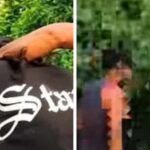 जमुई के बाद समस्तीपुर में लड़की से बदसलूकी, वायरल वीडियो से मचा हड़कंप