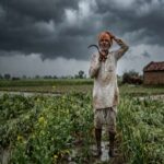 खंडवा में औसत से 100 मिमी कम बारिश, रबी फसल पर मंडराया सिंचाई संकट