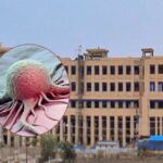 AIIMS Bhopal: चेहरे का रंग बदलना, नाखून टूटना और बाल झड़ना हो सकते हैं गंभीर बीमारी के संकेत