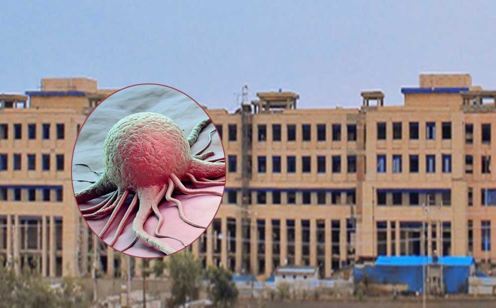 3A_141.jpg