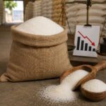 चीनी के एक्स-मिल भाव 20% तक गिरे, दशहरा-दिवाली तक और सस्ती होने की उम्मीद